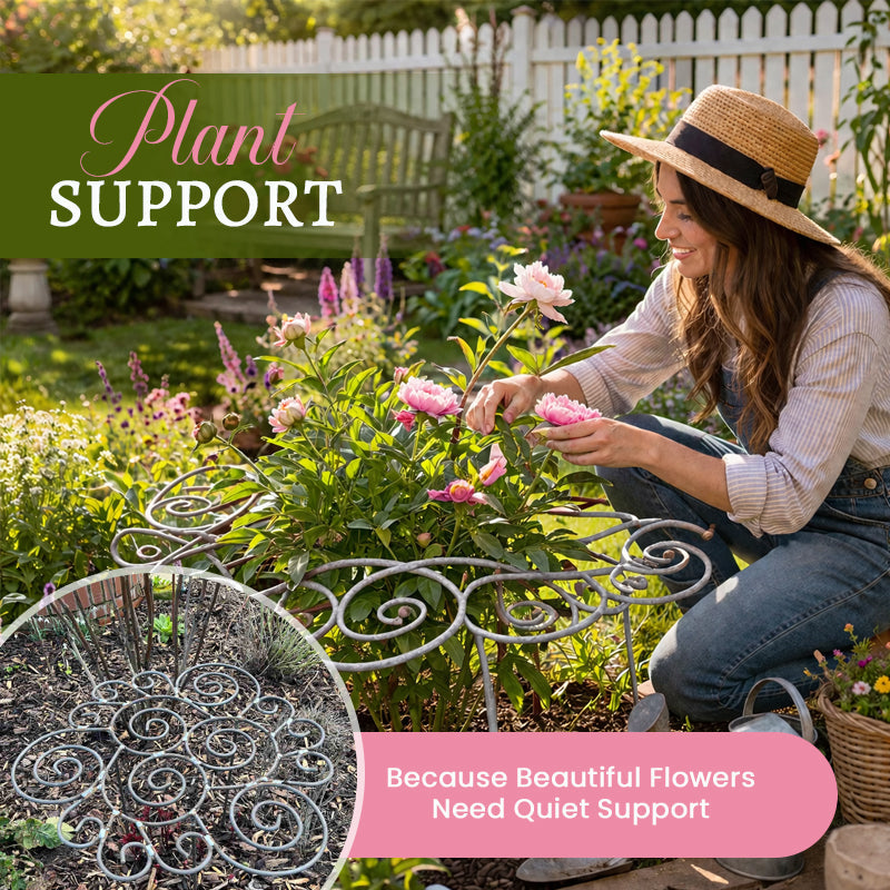 Plant Support – From First Shoots to Full Bloom