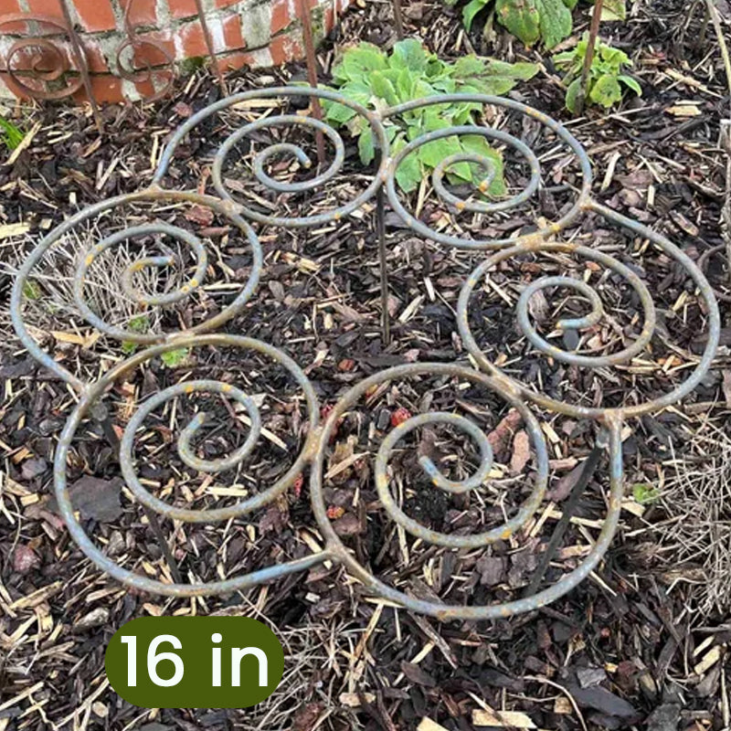 Plant Support – From First Shoots to Full Bloom