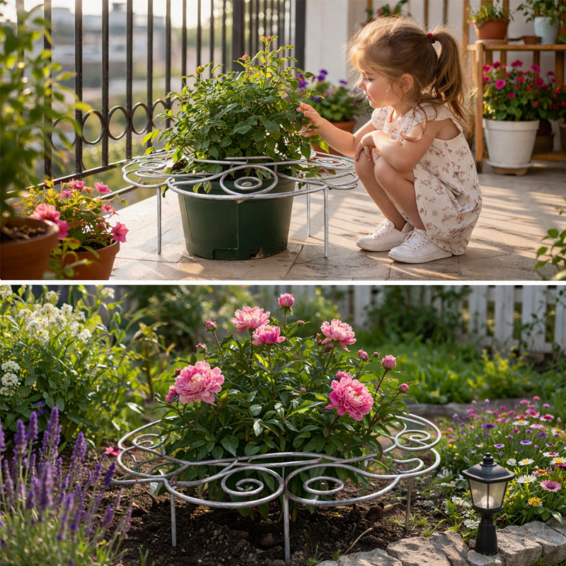 Plant Support – From First Shoots to Full Bloom