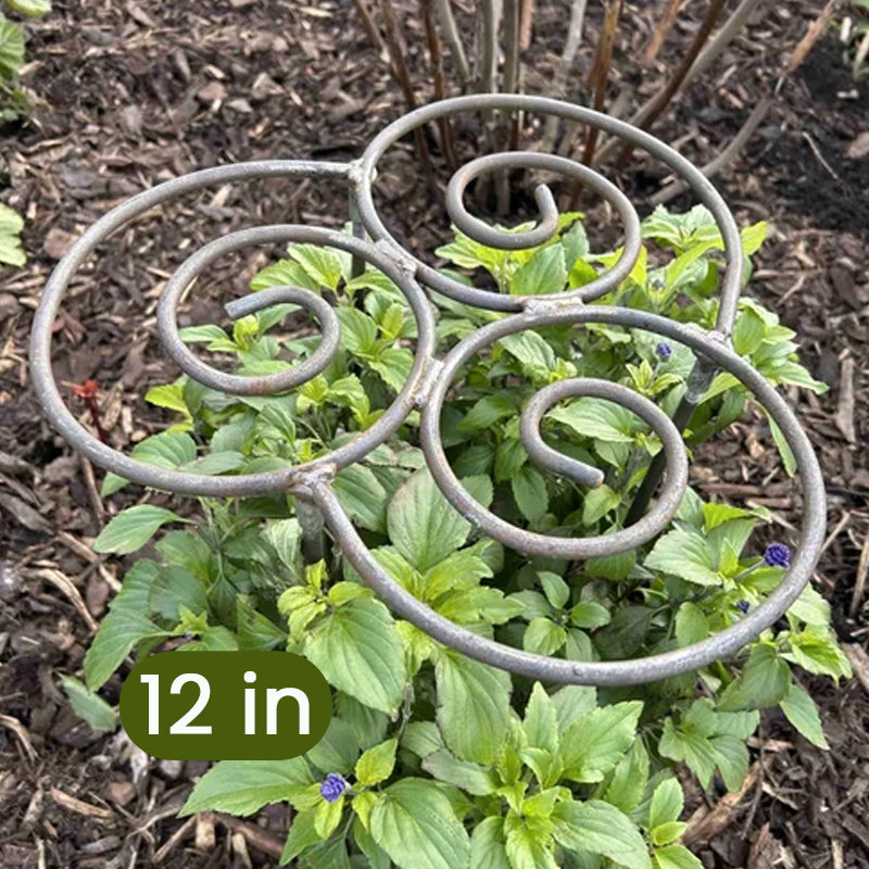 Plant Support – From First Shoots to Full Bloom