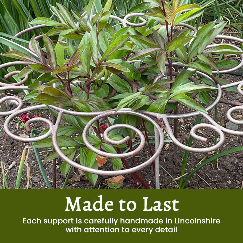 Plant Support – From First Shoots to Full Bloom