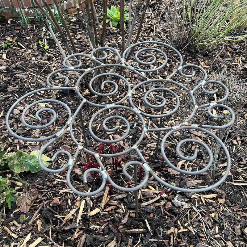 Plant Support – From First Shoots to Full Bloom